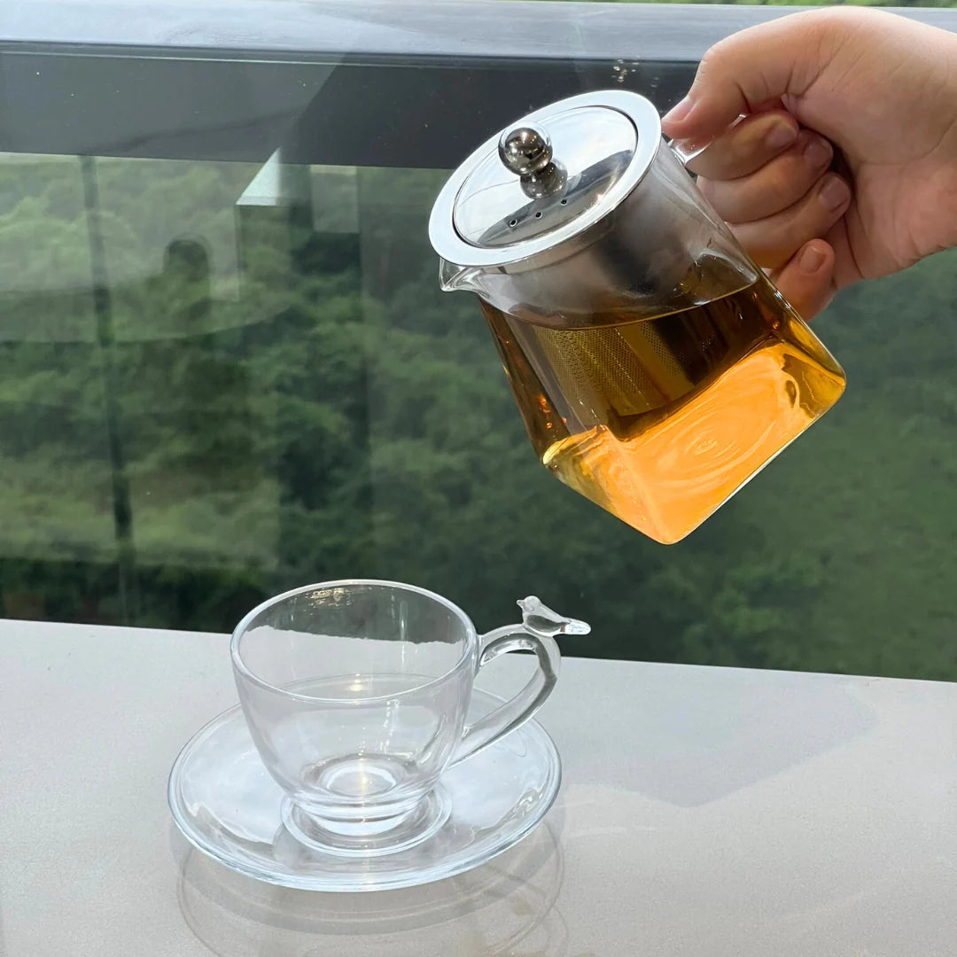 Chaleira de Vidro Borossilicato 550ml